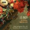 JS Bach - 6 Violin Sonatas, BWV1014-1019 JS Bach - 6 Violin Sonatas, BWV1014-1019