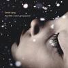 D Lang - the little match girl passion (Vinyl LP) D Lang - the little match girl passion (Vinyl LP)