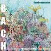JS Bach - Viola da Gamba Sonatas (version for violin, cello and double bass) JS Bach - Viola da Gamba Sonatas (version for violin, cello and double bass)