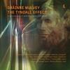 Mulvey - The Tyndall Effect Mulvey - The Tyndall Effect