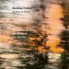 Avishai Cohen - Ashes to Gold Avishai Cohen - Ashes to Gold