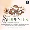 Hasse - Serpentes ignei in deserto Hasse - Serpentes ignei in deserto