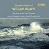 W Busch - Chamber Music W Busch - Chamber Music