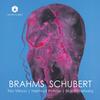 Brahms - Piano Quartet no.3; Schubert - Trout Quintet Brahms - Piano Quartet no.3; Schubert - Trout Quintet