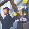 Schubert - Fantasies: Piano Sonata no.18, Wanderer Fantasy Schubert - Fantasies: Piano Sonata no.18, Wanderer Fantasy