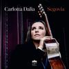 Carlotta Dalia: Segovia Carlotta Dalia: Segovia