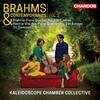 Brahms & Contemporaries Vol.2 Brahms & Contemporaries Vol.2