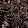 Tjogersen - Night Lives