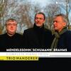 Mendelssohn, Schumann & Brahms - Complete Piano Trios Mendelssohn, Schumann & Brahms - Complete Piano Trios