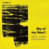 Sky of my Heart Sky of my Heart