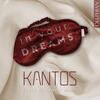 In Your Dreams In Your Dreams