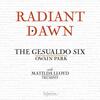 Radiant Dawn Radiant Dawn