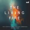 The Living Fire The Living Fire
