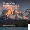 Mozart’s Soul: Patagonian Spirit Mozart’s Soul: Patagonian Spirit