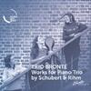Schubert & Rihm - Works for Piano Trio