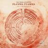 Lens - Flamma Flamma: The Fire Requiem