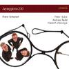 Schubert - Arpeggione.200