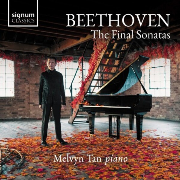 Beethoven - The Final Sonatas | Signum SIGCD906