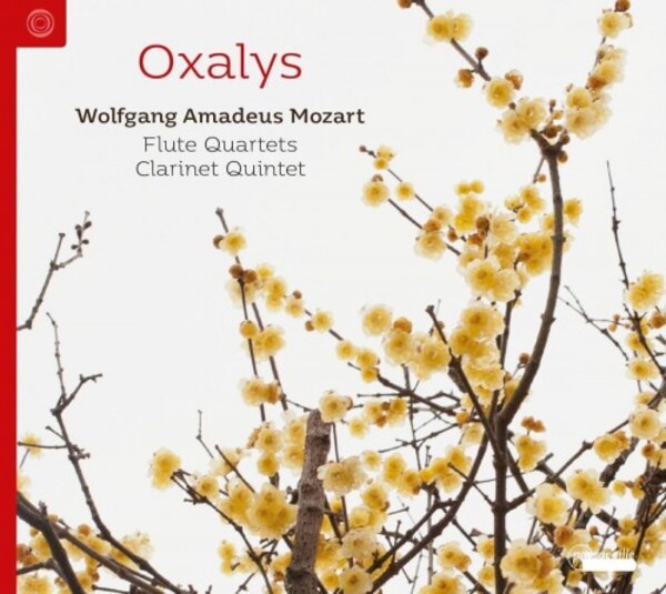 Mozart - Flute Quartets, Clarinet Quintet