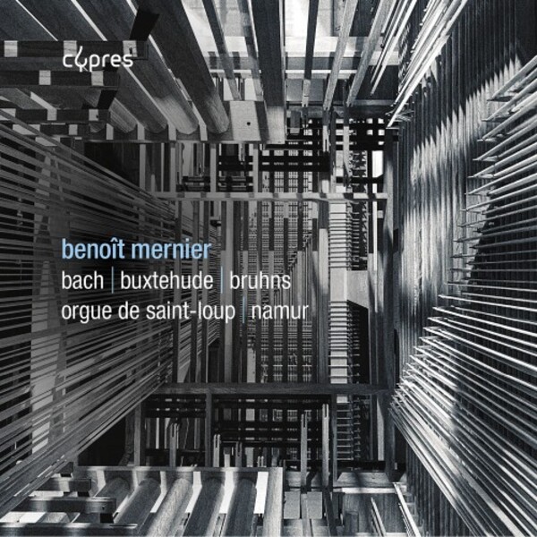 JS Bach, Buxtehude, Bruhns - Organ Works