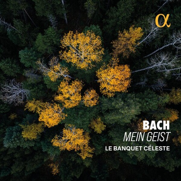 JS Bach - Mein Geist: Cantatas BWV85 & BWV115, Cello Suite no.6